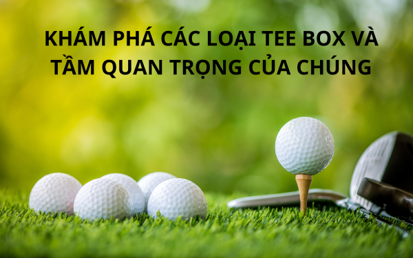 Khám phá các loại Tee Box và tầm quan trọng của chúng